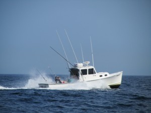 The Laura-Jay