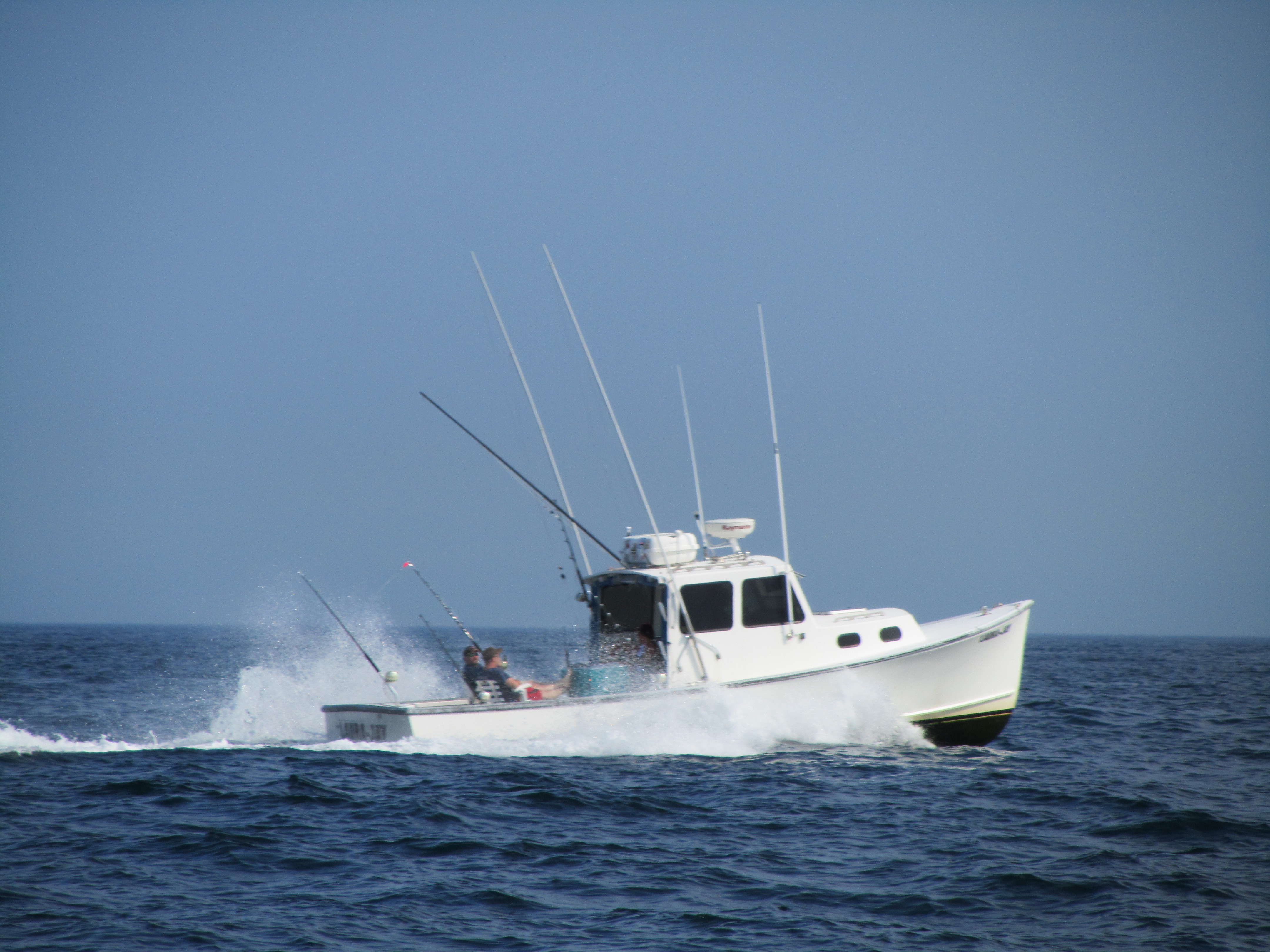 Cod Fishing Boat