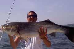 stripers