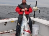 Cape Cod Bay Tuna