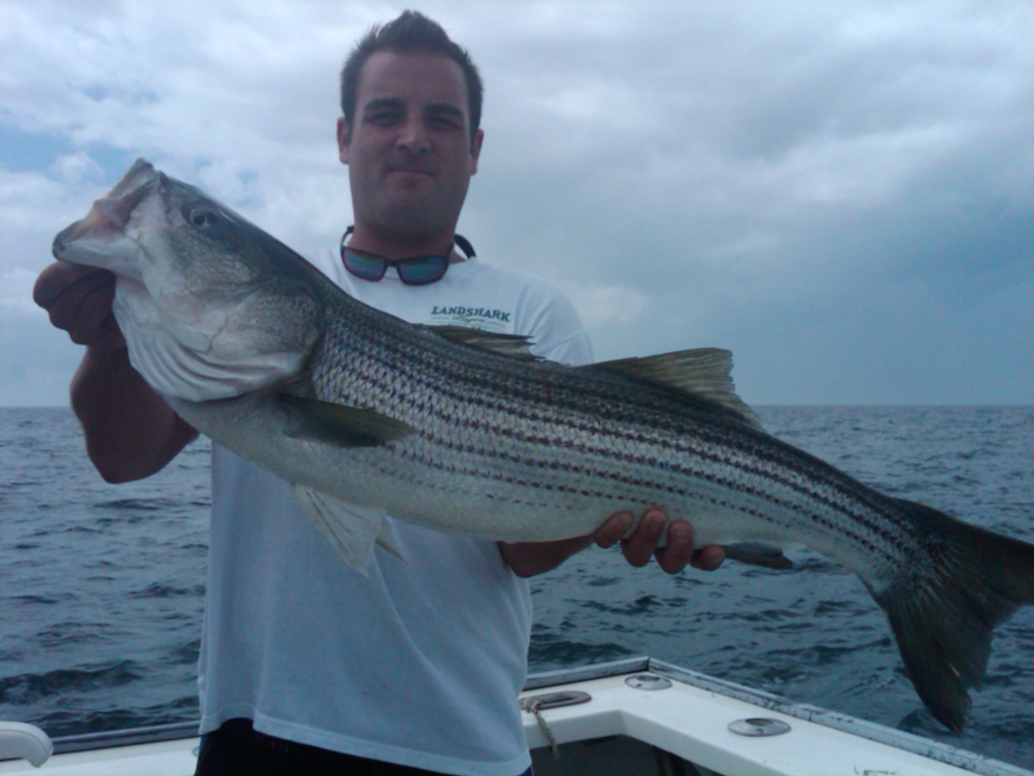 massachusetts striper fishing Cape Cod Fishing Charters